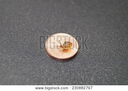 Low Interest - Money Is Only Slowly Increasing Like A Snail