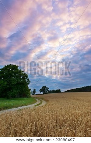Sunset in the country