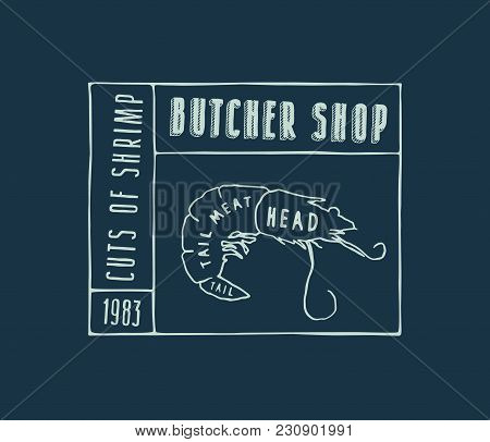 Stock Vector Shrimp Cuts Diagram In The Style Of Handmade Graphics. Label Template For Butcher Shop.