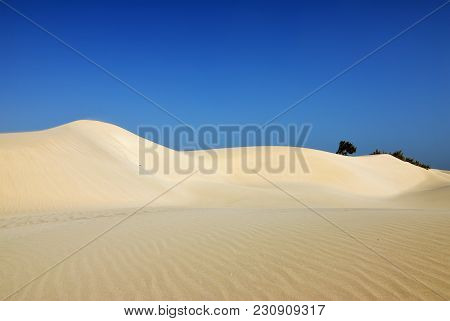 Big White Sand Dunes At Aomak Beach At Sunset, Socotra Island, Yemen. The Protected Area Of Aomak Be