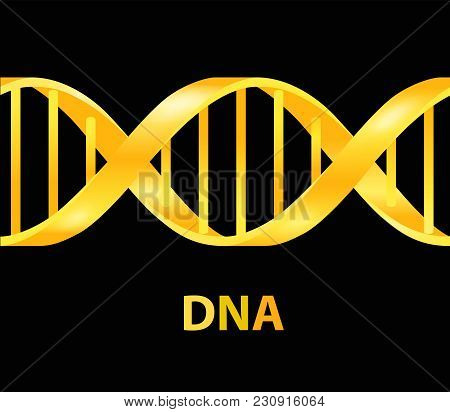 Gold And Silver Dna Icon. Dna Symbol. Dna Helix Symbol. Gene Icon. Vector Illustration On Black Back