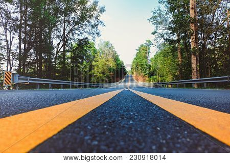 Low Angle Perspective View Of An Empty Road Through A Forest.