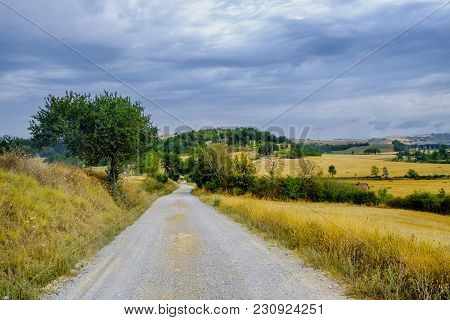 Country Landscape Along The Road From Asciano To Torre A Castello, Siena, Tuscany, Italy, At Summer