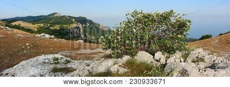 Crimean Landscape. Panorama Shot Taken At The Crimean Plateau, With View On The At-bash Mount (head 