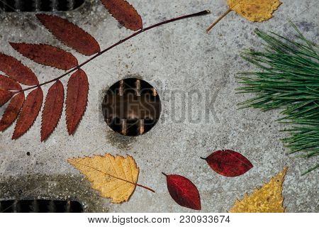 A Bright Autumn Herbarium, Located On A Metal Surface Damaged By Corrosion.