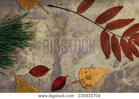A Bright Autumn Herbarium, Located On A Metal Surface Damaged By Corrosion.