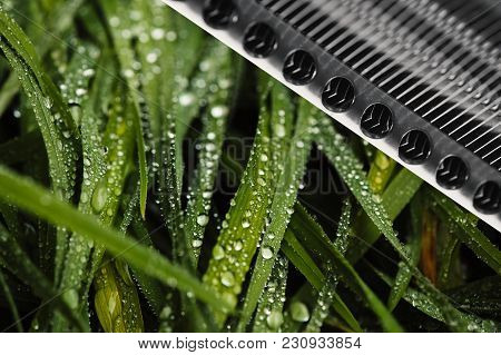 Grass On A Background Of Iron Details. Background Image Of The Interaction Of Nature And Technology.