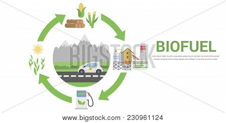 Biofuel Life Cycle, Biomass Ethanol From Corn, Sugarcane, Wood, Flat Design Vector Concept Illustrat