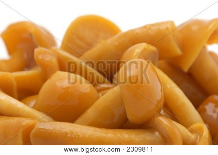 Eingelegte Pilze