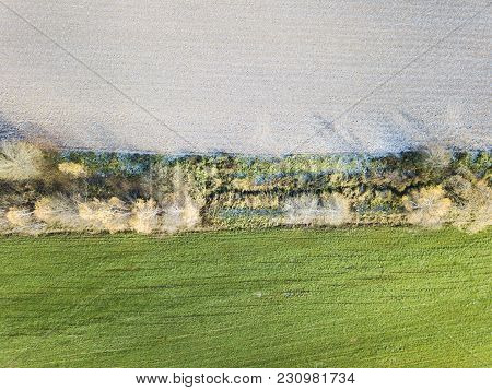 Field. Plowed Ground And Winter Crops. View From Above