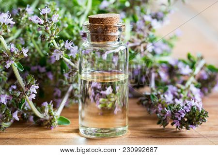 A Bottle Of Breckland Thyme (thymus Serpyllum) Essential Oil With Fresh Blooming Breckland Thyme Twi