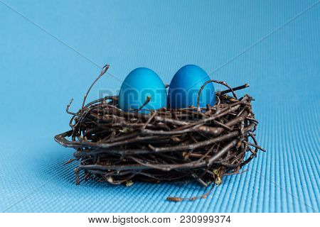 Easter eggs in the nest on blue background