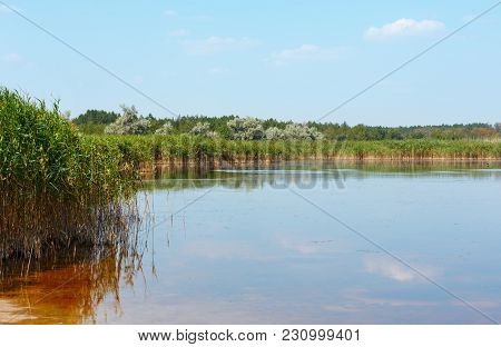 Summer Pryschukove Dark Brownish-red Iodine Lake With A Therapeutic Effect Thanks To The High Conten
