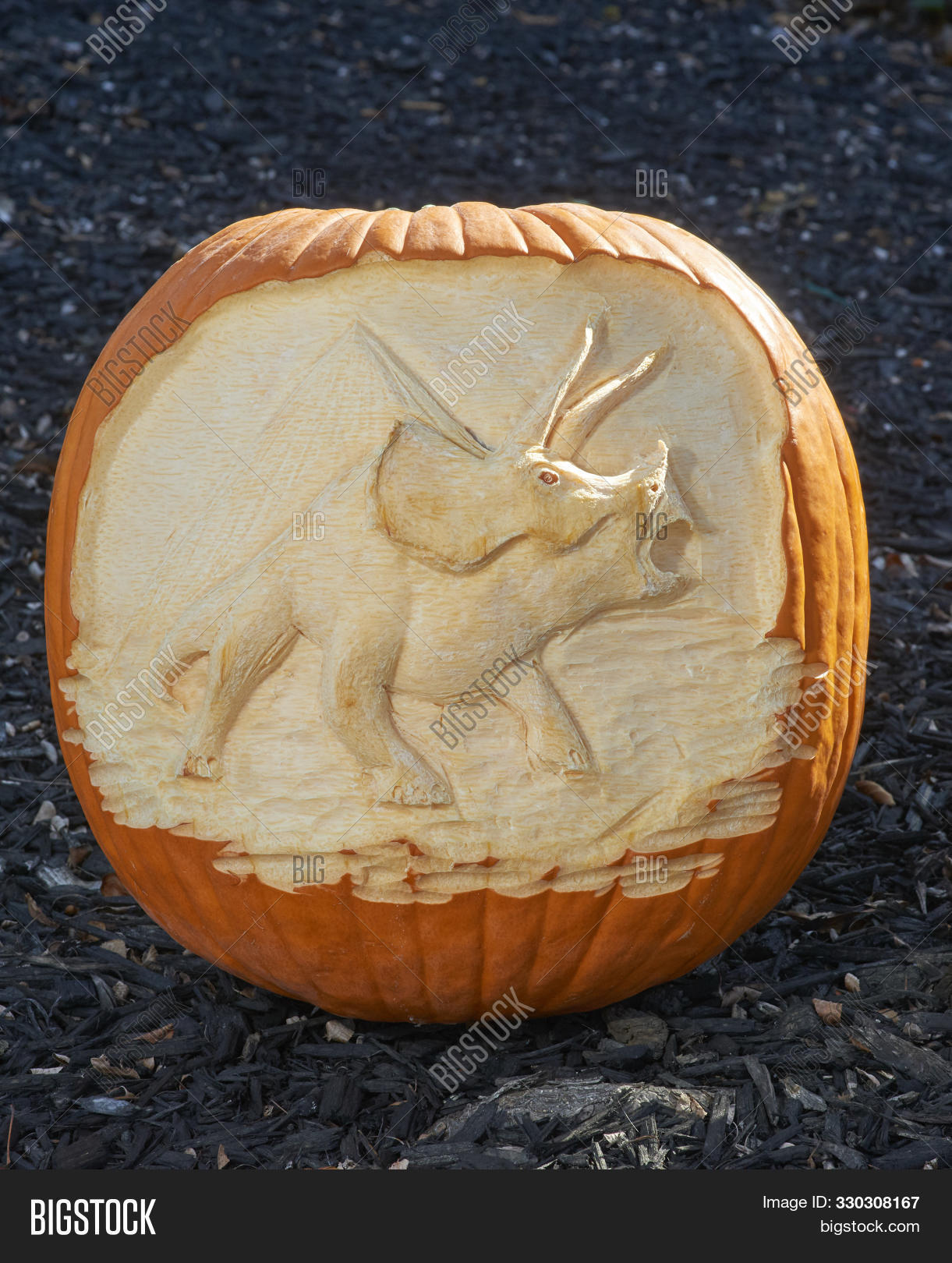 Dinosaur Pumpkin Carving 330308167
