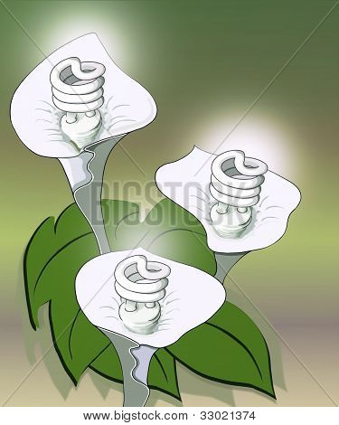 Øko venlige pære plante.