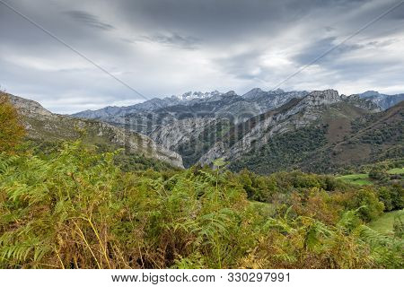 The Picos De Europa National Park Seen From The Pelono Forest.