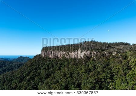 Australia Canyon Covered In dense And Lush Trees On Sunny Day In Springbrook Np, Queensland, Austral
