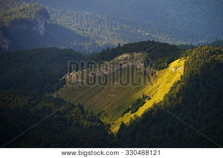 Sunbeam On Hillside In Mountain. Meadow On Hillside.