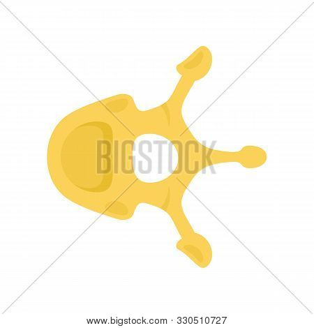 Spinal Bone Flat Icon. Vector Spinal Bone In Flat Style Isolated On White Background. Element For We