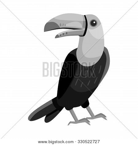 Vector Illustration Of Toucan And Bird Symbol. Collection Of Toucan And Jungle Vector Icon For Stock