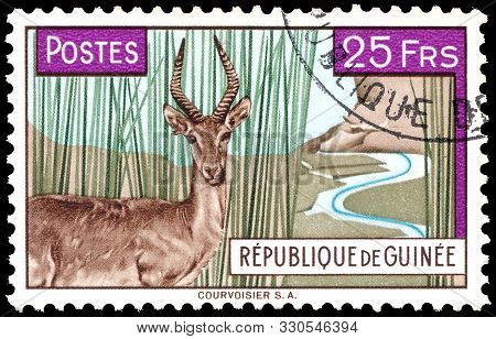 Guinea - Circa 1961: Postage Stamp Issued In Guinea With The Image Of The Impala Antelope Defassa Wa