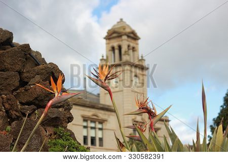 Details Of The Old World Architecture On The Grand Mansion Viewed Through The Gardens At Werribee Ma