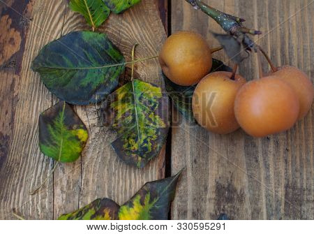 Fruits Of Apples On A Wooden Background In Spring Foliage, Texture