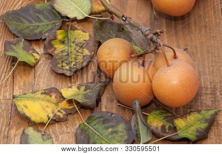 Fruits Of Apples On A Wooden Background