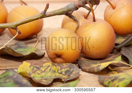 Fruits Of Apples On A Wooden Background