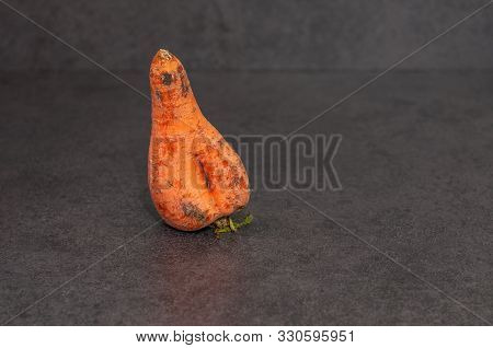 Close-up One Ugly Ripe Carrot On Grey Background.