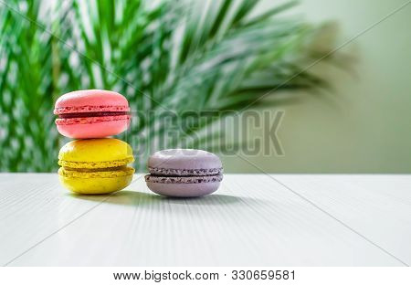 Three Macaroons Cookies On A Light Background With A Palm Tree At The Back. Copy Space.