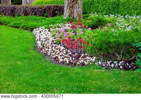 Garden Bed In Park With Plants Deciduous Hedge And Tree And Flower Bed With Flowers Near A Meadow Wi