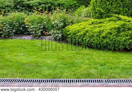 Evergreen Bush Of Thuja And Roses In A Backyard Flower Bed, Landscaping With Grate Drainage System O