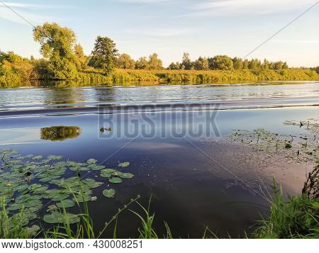 Bank Of The River With Trees Lit By The Sun At Sunset, With Light Waves On The Water Surface Of The 