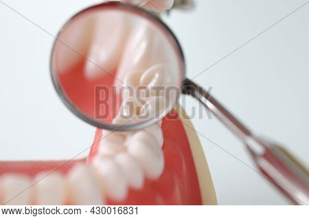 Dental Examination Mirror And Artificial Jaw Closeup