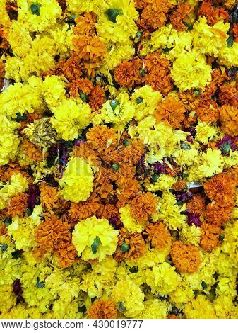 Beautiful Chrysanthemum Yellow And Orange Flower Background. Also Known As Jamanthi Flower.