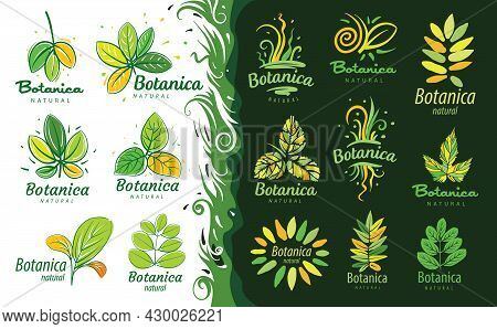 A Set Of Logos With The Inscription Botanica And Painted Leaves