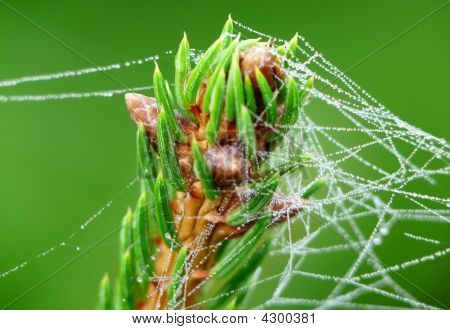 Web de Noël