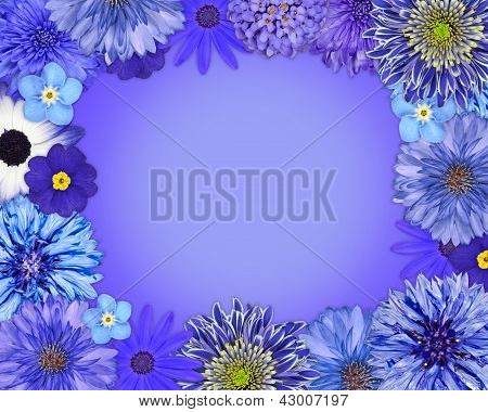 Cadre de fleurs avec le fil bleu, fleurs pourpres