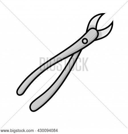 7 Dental Equipment