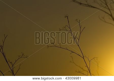 Tramonto parco appia antica - Roma, Italia