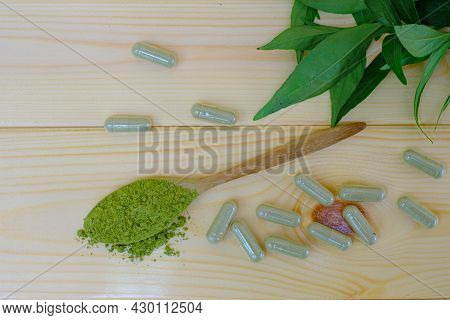 Kariyat Or Andrographis Paniculata Powder In Wooden Spoon With Herbal Capsules And Branch Green Leav