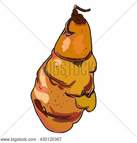 Illustration Vegetable Mashua Isolated On White Background