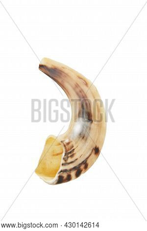 Rosh Hashanah - Jewish New Year Holiday Concept. Shofar Isolated On White Background