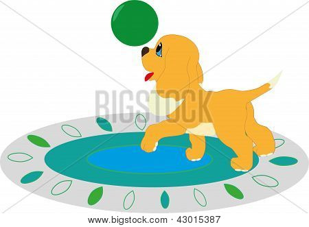 belgili tanımlık köpek yavrusu bir halı karikatür bir top oynuyor
