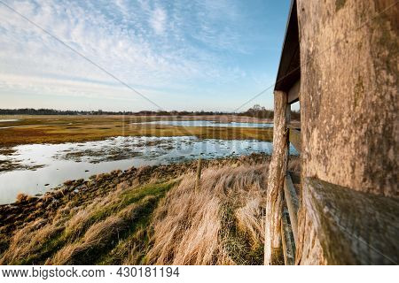 Natural Park Area Of Ishoj Denmark On A Sunney Day