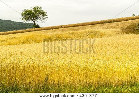Corno Di Sella (abruzzi) - krajina