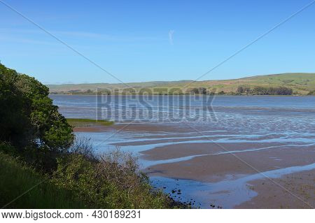 California - Tomales Bay Ecological Reserve With Salt Marsh And Tidal Flats.