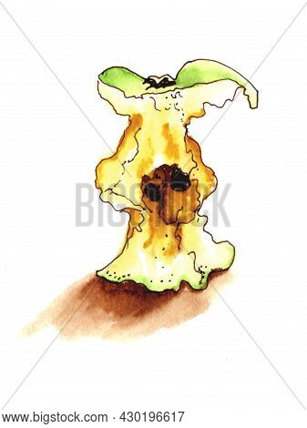 Apple Core Watercolour Hand Drawn Sketch For Your Design