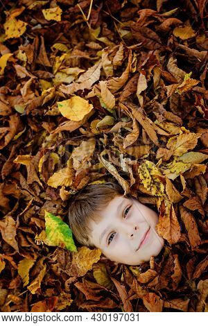 Little Kid Boy Lying In Autumn Leaves In Colorful Fashion Fall Clothing. Happy Healthy Child Having 